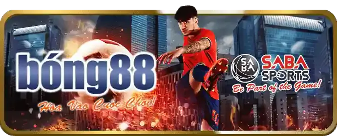 fvip88 nền tảng cá cược hàng đầu